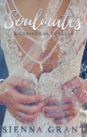 [Soulmates 2.50] • Soulmates 2.5 · A Christmas Novella